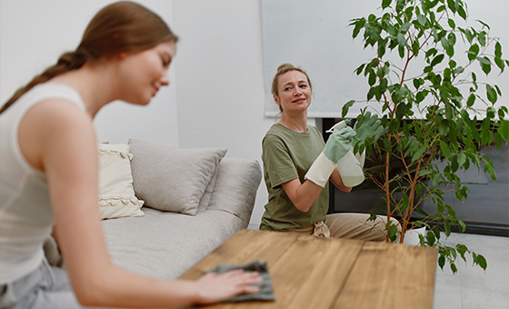 two women cleaning in a bright living room one woman wipes the table while the other tends to a potted plant home cleaning decor tips