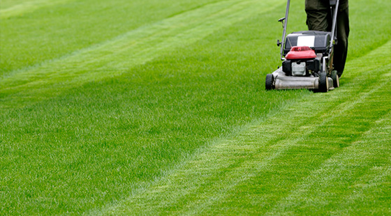 person mowing a well maintained lawn with a lawn mower showing neat grass stripes ideal for landscaping and gardening tips 2 lawns 2 maintenance