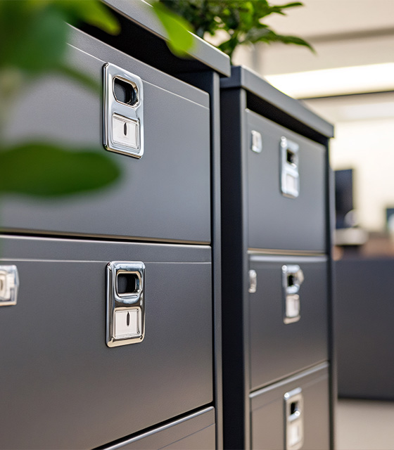black storage cabinets with multiple drawers and metal handles surrounded by plants in an office space with modern design and organization themes featuring four spacious compartments